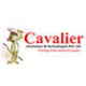 Cavalier Animation Lucknow