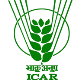 Indian Institute of Rice Research