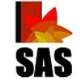 SAS Institute of Management Studies