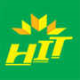 HIIT (HITS INSTITUTE OF INFORMATION TECHNOLOGY)
