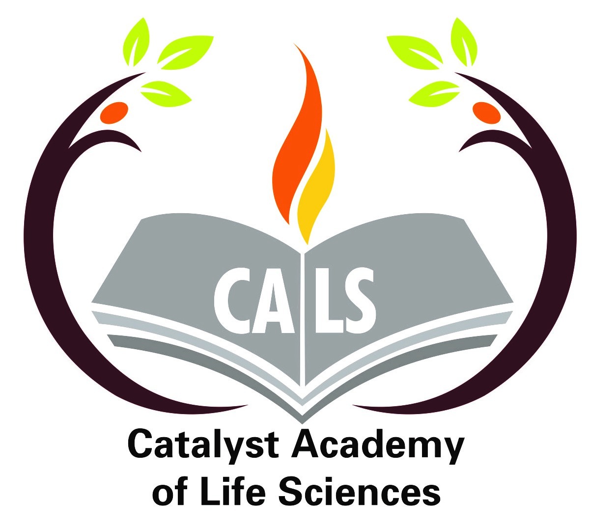 Profile Catalyst Academy
